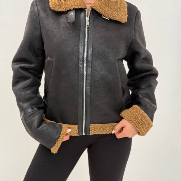 بوفالو باربری